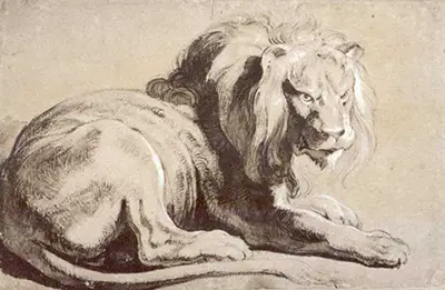 Etude of Lion Peter Paul Rubens